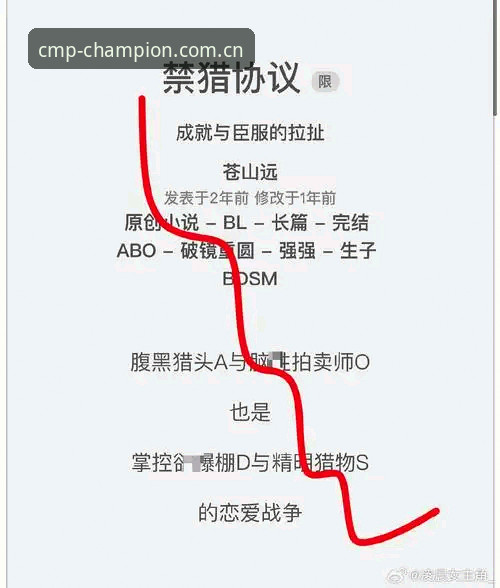 揭秘CMP冠军体育中文官方站登录入口安全吗——一个极简主义用户的实测笔记